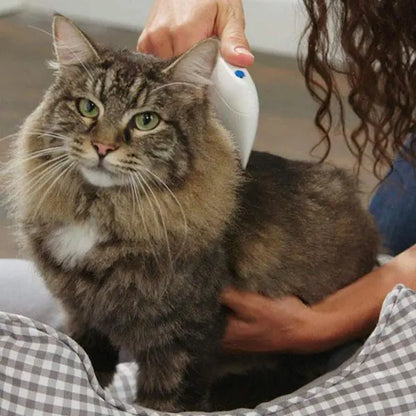 Electric Pet Flea Comb