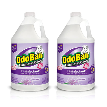 2-Gallon Lavender Disinfectant & Odor Eliminator